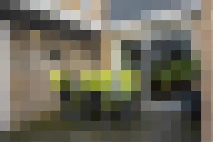 Magnoliastraat 3 Borne thumbnail 42