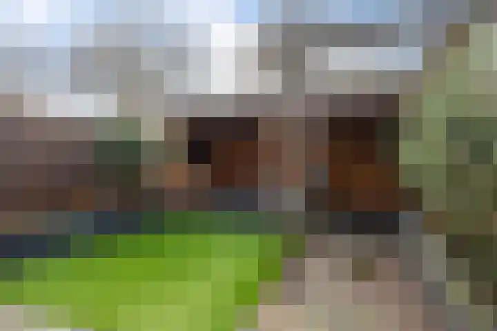 Magnoliastraat 3 Borne thumbnail 46
