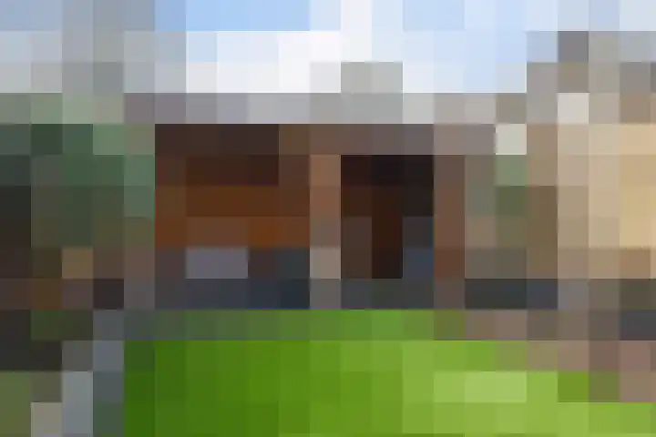 Magnoliastraat 3 Borne thumbnail 48