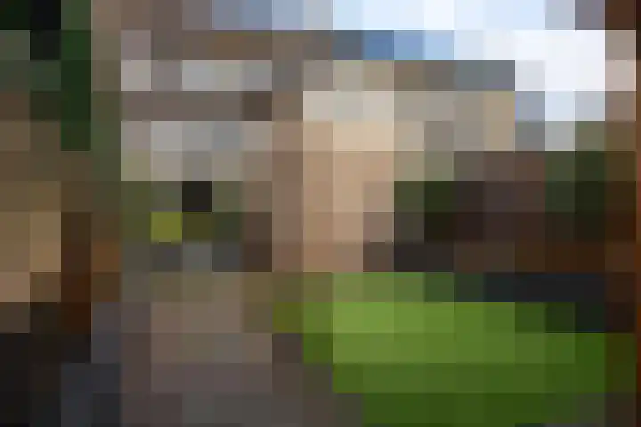 Magnoliastraat 3 Borne thumbnail 50