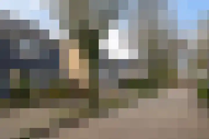 Magnoliastraat 3 Borne thumbnail 53
