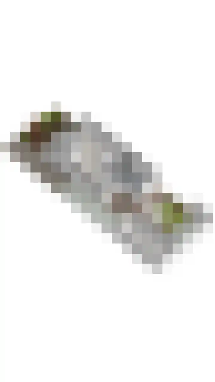 Magnoliastraat 3 Borne thumbnail 60