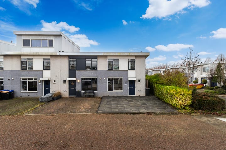 Mahonie 220 in Dordrecht foto