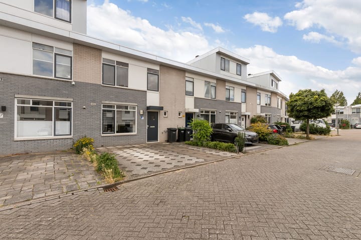 Mahonie 226 in Dordrecht foto