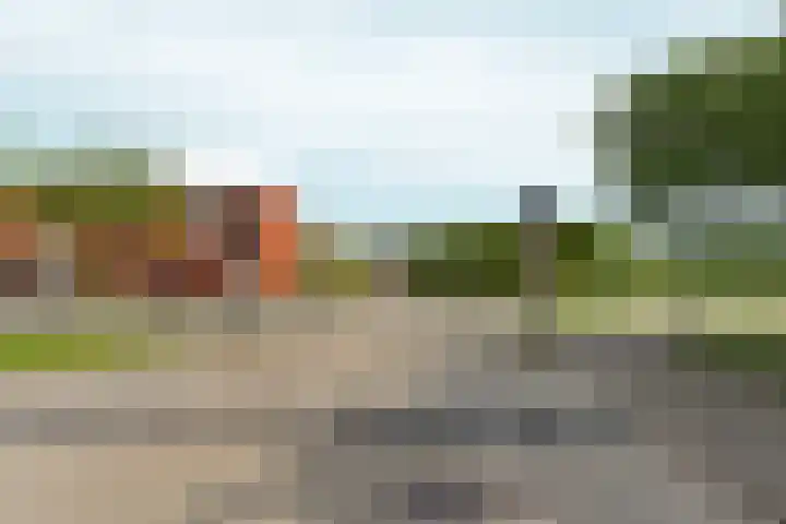 Mahoniestraat 1 Almere thumbnail 45
