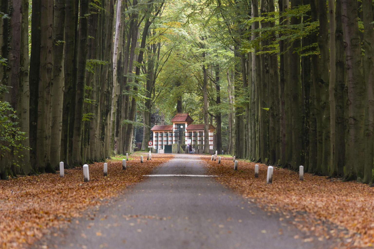 Kantoorfoto Maijer Makelaars