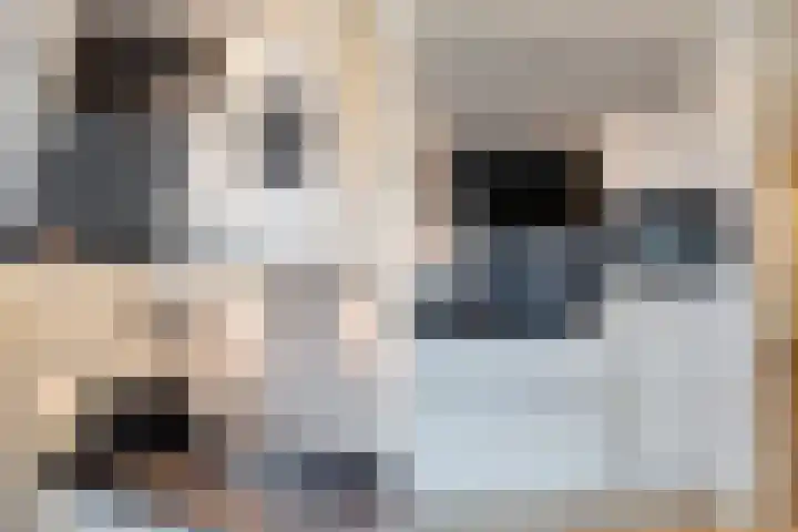 Maimonideslaan 102 Amstelveen thumbnail 13