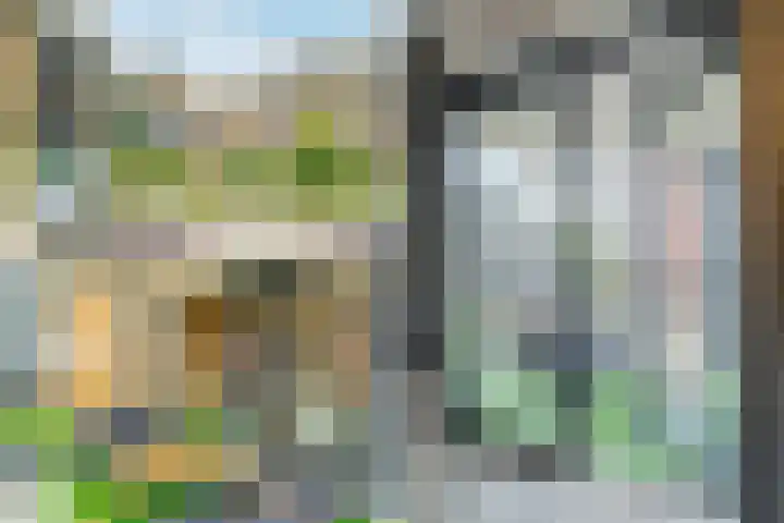 Maimonideslaan 102 Amstelveen thumbnail 16