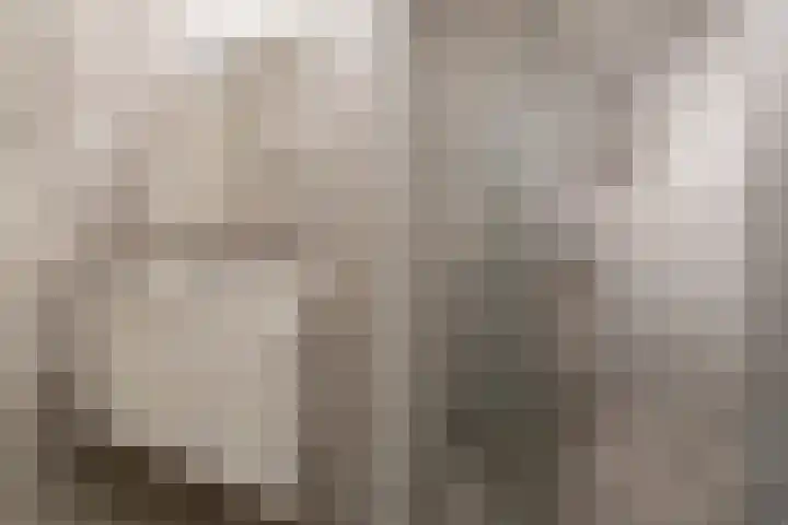 Maimonideslaan 102 Amstelveen thumbnail 26