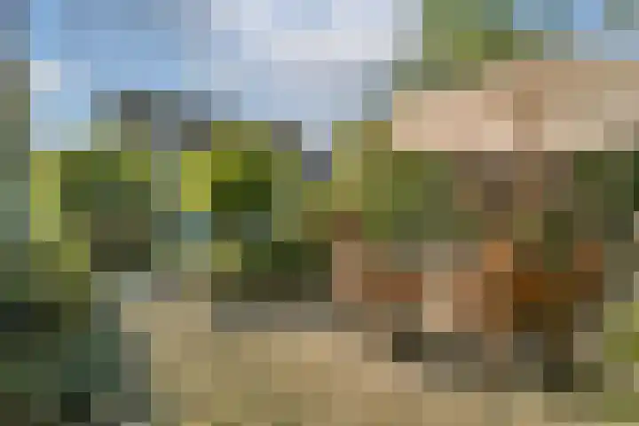 Mainstraat 11 Spijkenisse thumbnail 28