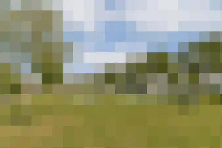 Mainstraat 11 Spijkenisse thumbnail 34