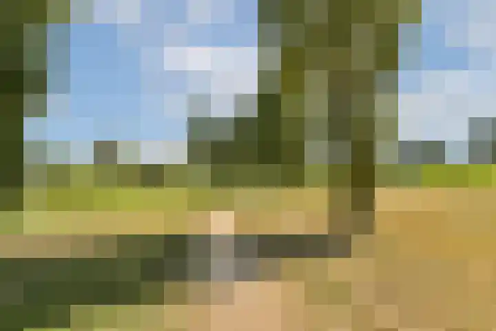 Mainstraat 11 Spijkenisse thumbnail 36
