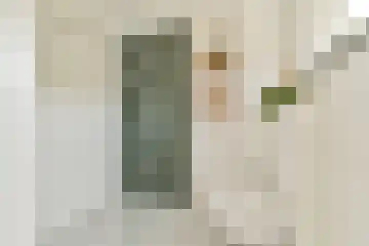 Mainstraat 11 Spijkenisse thumbnail 4
