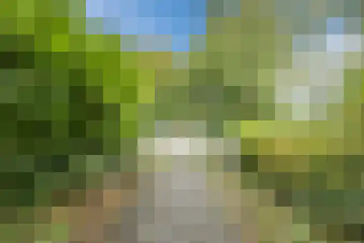 Mainstraat 28 Assen thumbnail 37