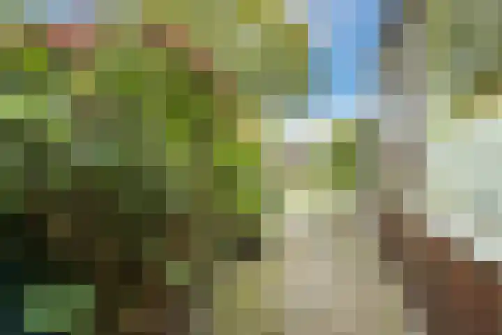Mainstraat 28 Assen thumbnail 4