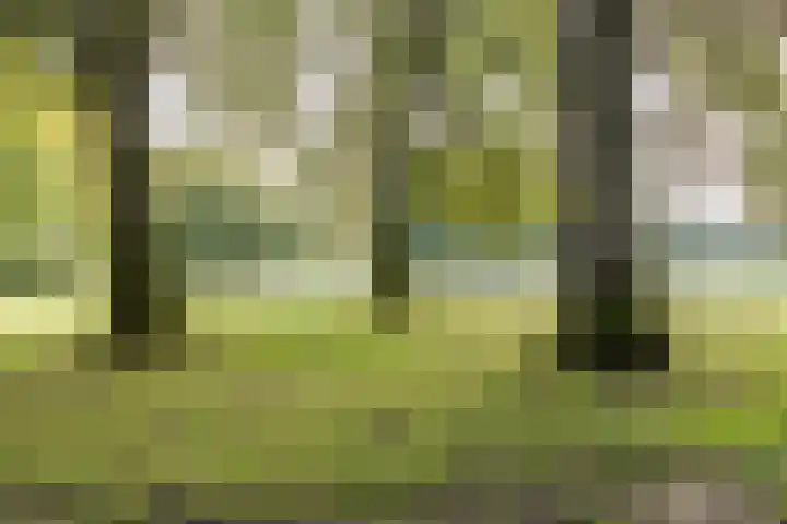 Mainstraat 28 Assen thumbnail 40