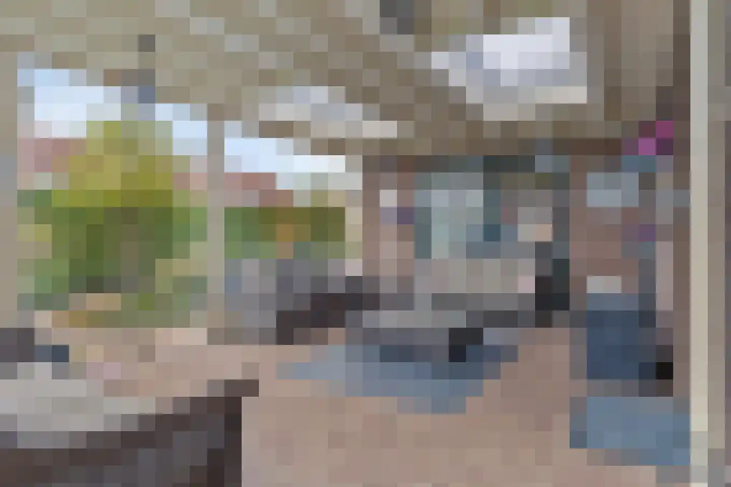 Maisakker 2 Arnemuiden thumbnail 16