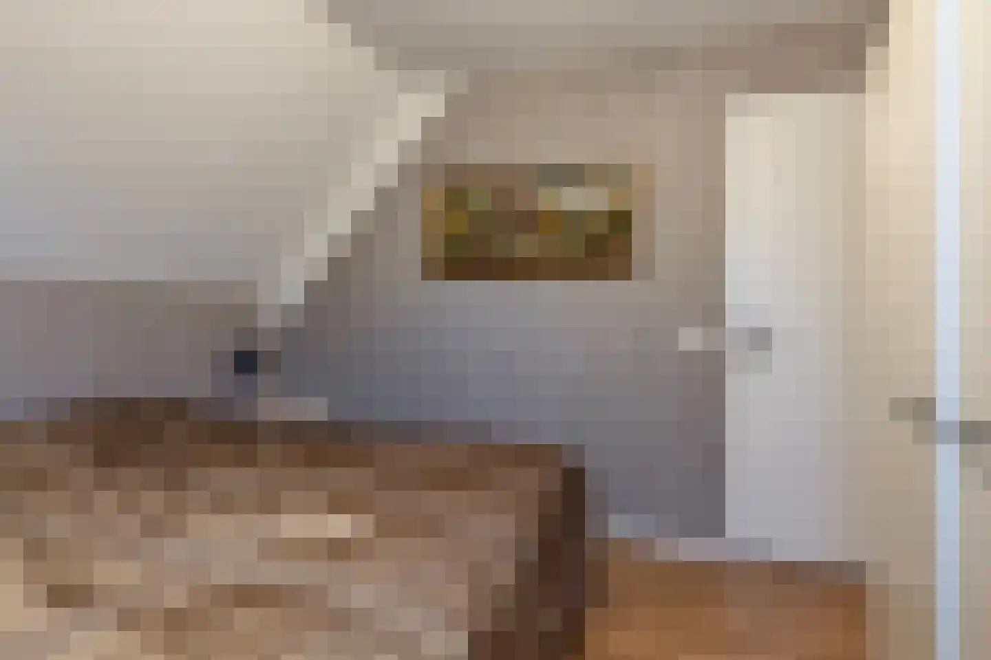 Maisakker 2 Arnemuiden thumbnail 26
