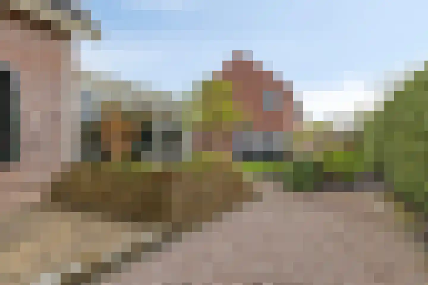Maisakker 2 Arnemuiden thumbnail 37