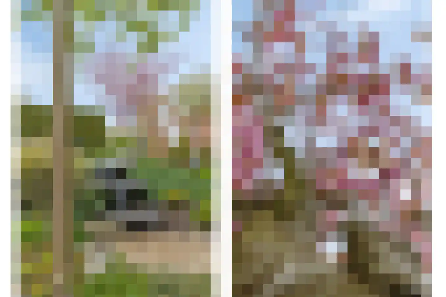 Maisakker 2 Arnemuiden thumbnail 40