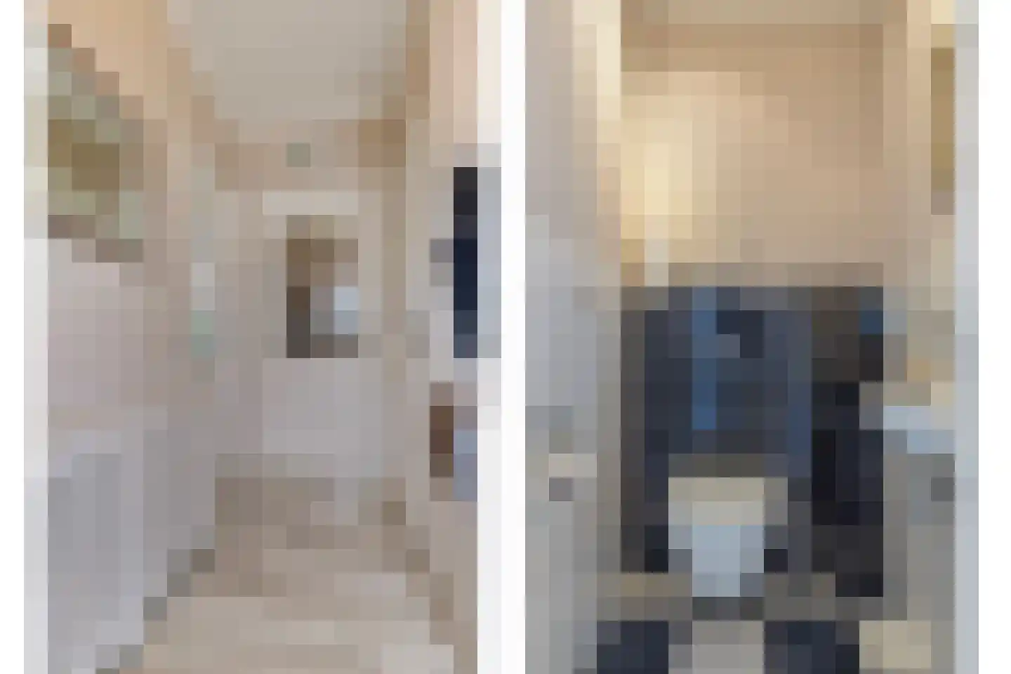 Maisakker 2 Arnemuiden thumbnail 5