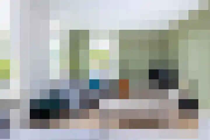 Maisakker 8 Wezep thumbnail 11