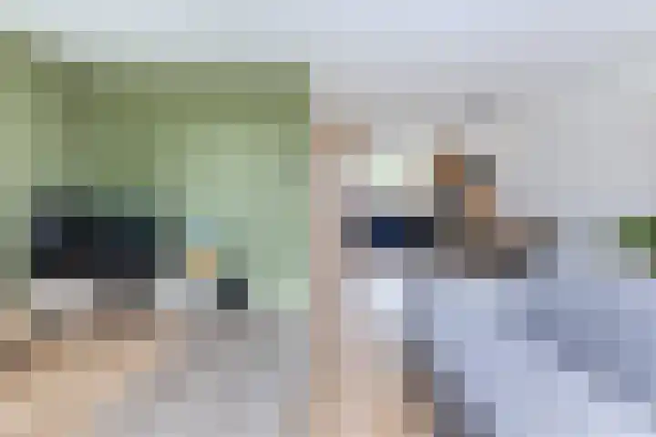 Maisakker 8 Wezep thumbnail 13