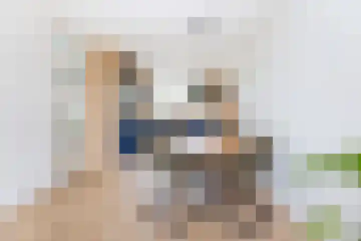 Maisakker 8 Wezep thumbnail 14