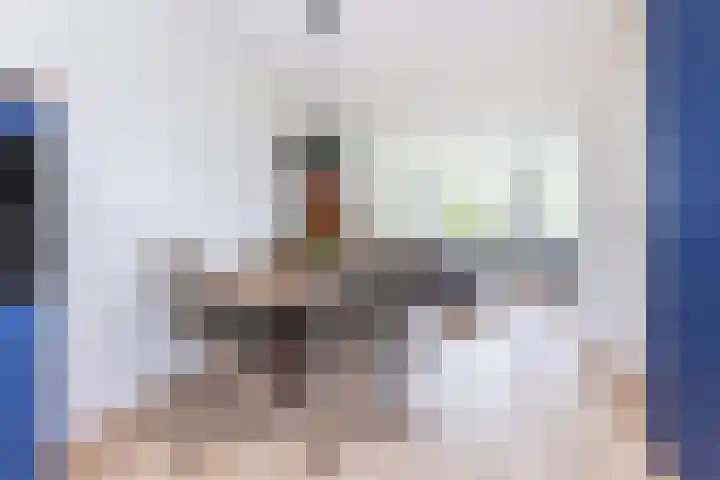 Maisakker 8 Wezep thumbnail 16