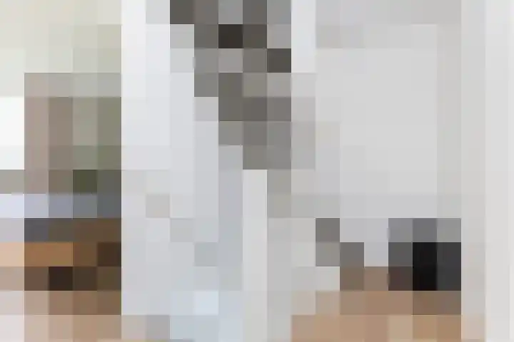 Maisakker 8 Wezep thumbnail 18