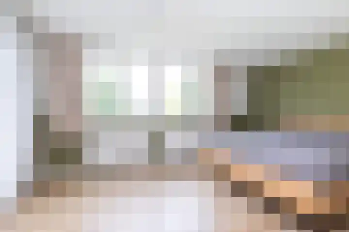 Maisakker 8 Wezep thumbnail 19