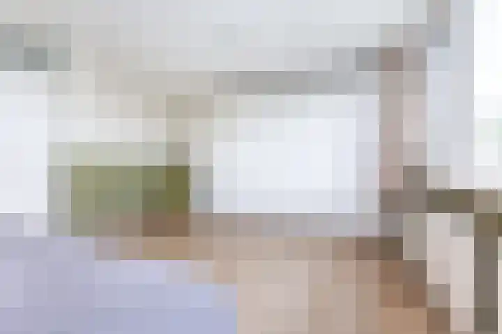 Maisakker 8 Wezep thumbnail 21