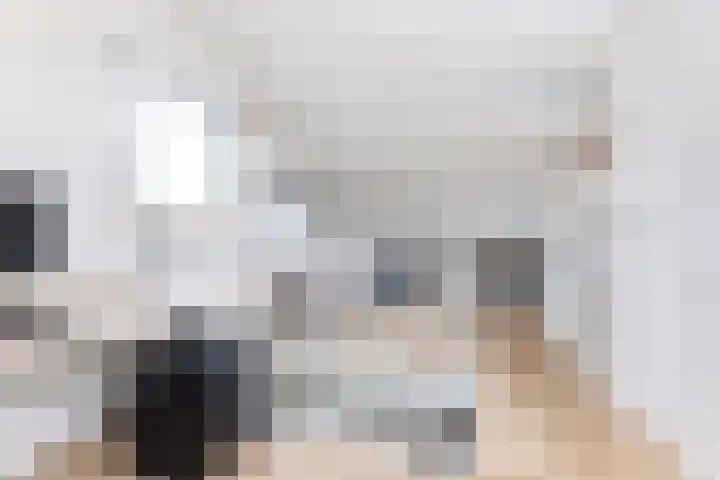 Maisakker 8 Wezep thumbnail 27