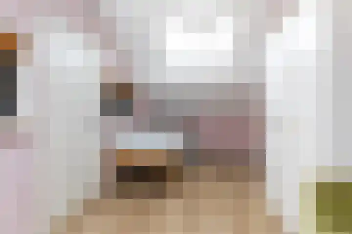 Maisakker 8 Wezep thumbnail 28