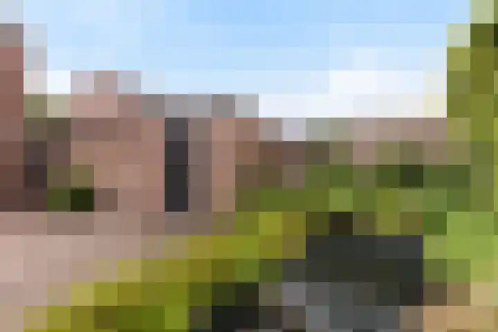 Maisakker 8 Wezep thumbnail 32