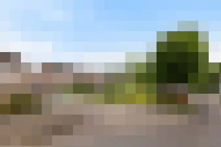 Maisakker 8 Wezep thumbnail 35