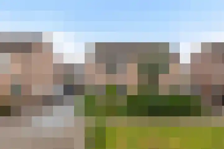 Maisakker 8 Wezep thumbnail 43