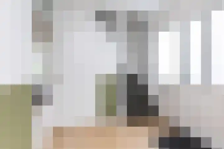 Maisakker 8 Wezep thumbnail 8