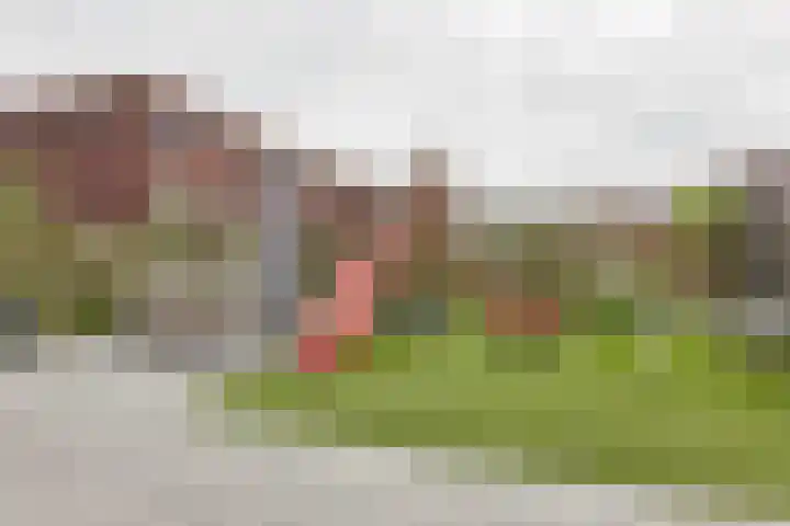 Maiskamp 47 Den Haag thumbnail 12