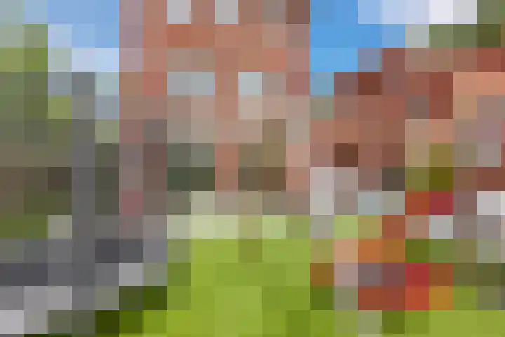 Maiskamp 47 Den Haag thumbnail 16
