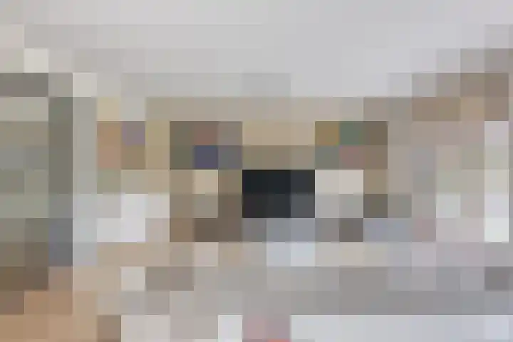 Maiskamp 47 Den Haag thumbnail 6