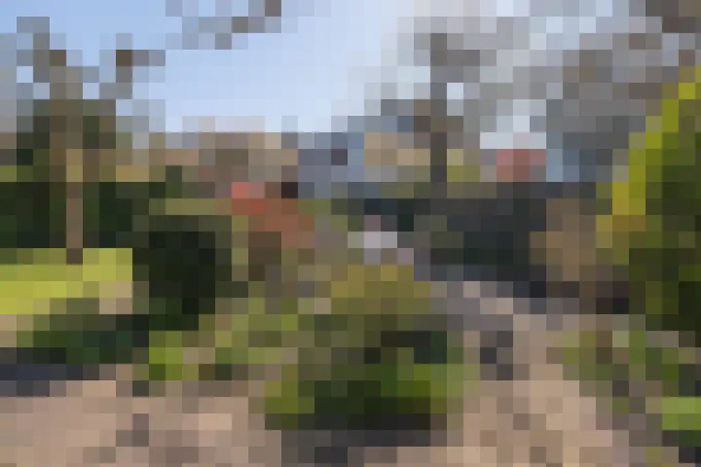 Majellapark 28 Bussum thumbnail 34
