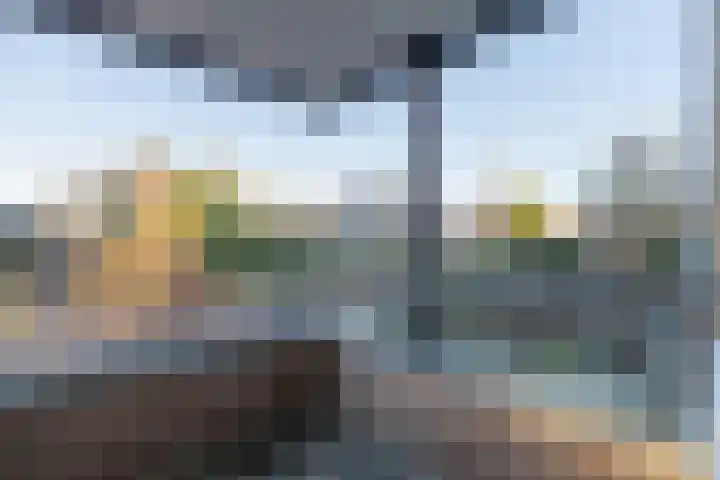 Majellapark 47 Bussum thumbnail 18