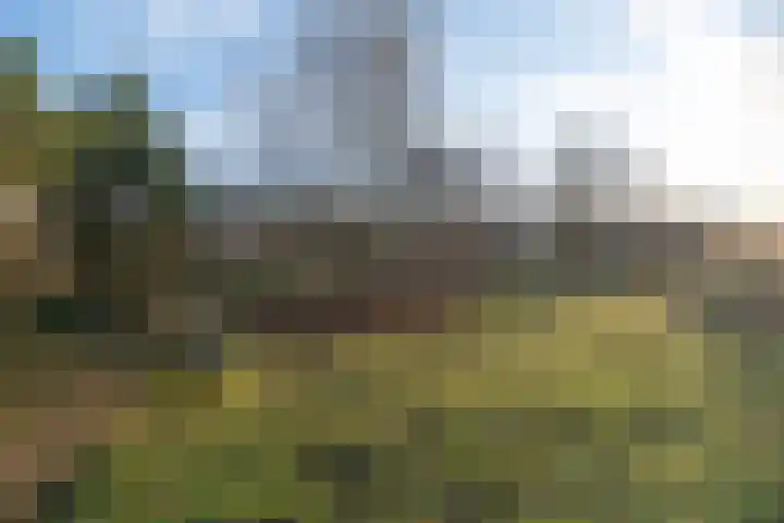 Majellapark 47 Bussum thumbnail 29