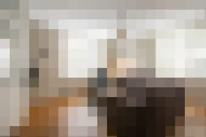 Majoor Huthstraat 66 Linne thumbnail 4
