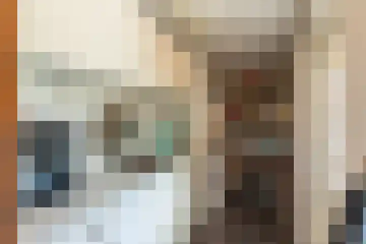 Majoorwerf 11 Zoutelande thumbnail 12