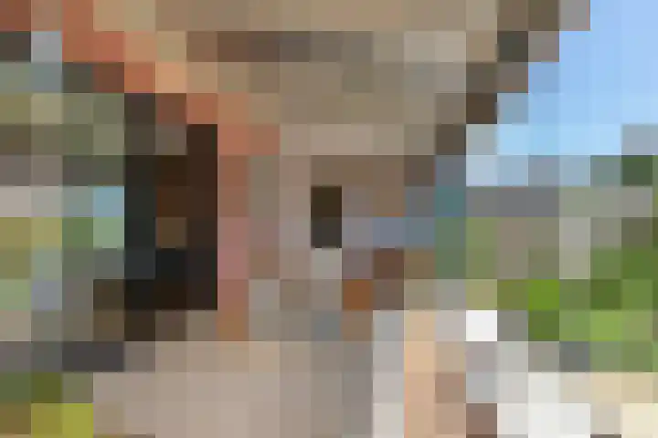 Majoorwerf 11 Zoutelande thumbnail 15