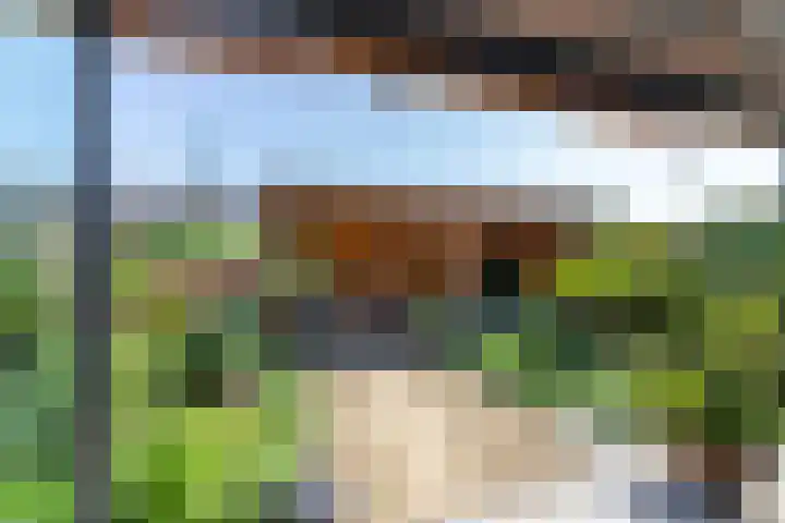 Majoorwerf 11 Zoutelande thumbnail 17