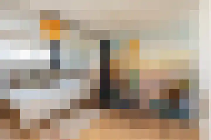 Majoorwerf 11 Zoutelande thumbnail 28