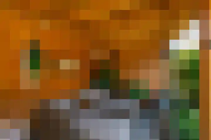 Majoorwerf 11 Zoutelande thumbnail 34